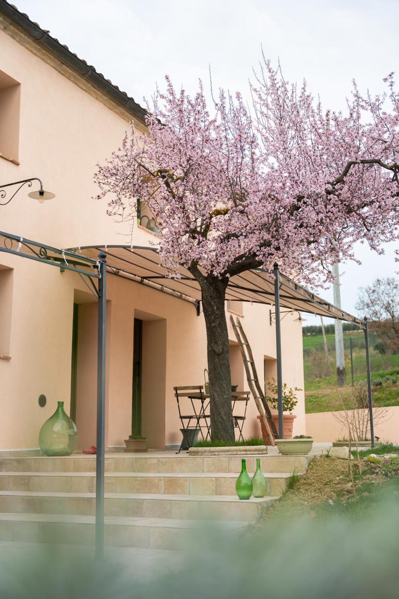 B&B Le Rondini Ostra Senigallia Casine  Exterior photo